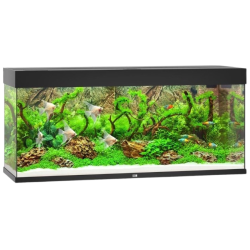 Juwel Rio 240 LED akvarium OBS: Bestillingsvare