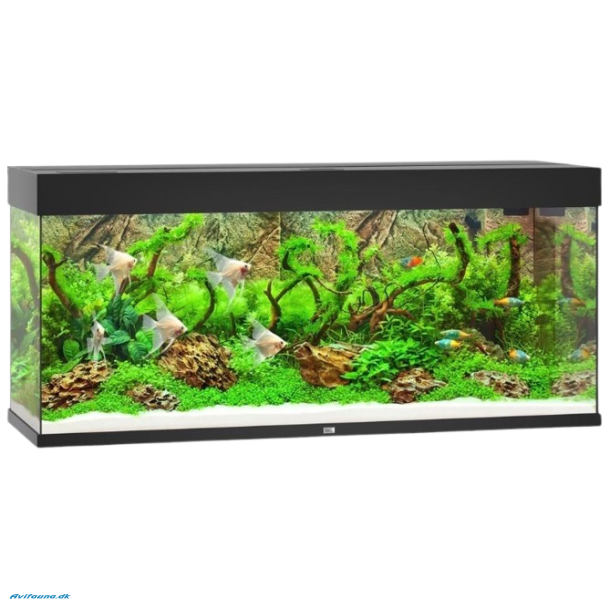 Juwel Rio 240 LED akvarium OBS: Bestillingsvare