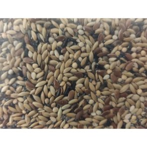 Natural Original Kanarieblanding u. ryps