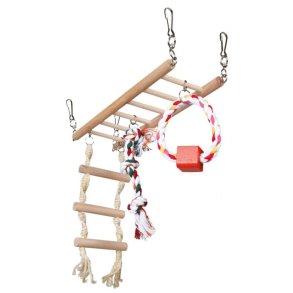 Legestige til hamster