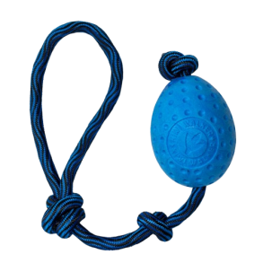 Kiwi Walker - Let's play EGG - MAXI