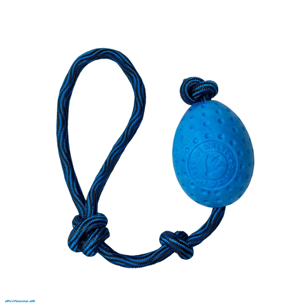 Kiwi Walker - Let's play EGG - MAXI