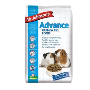 Mr. Johnson Advance Guinea Pig