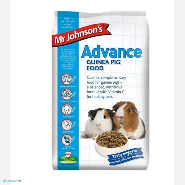 Mr. Johnson Advance Guinea Pig