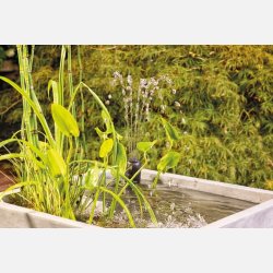 OASE Filtral UVC OBS: Bestillingsvare