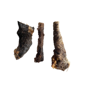 Oksepandelapper m. pels