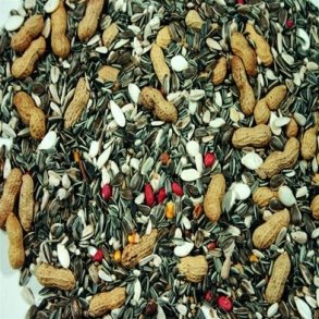 Papegjeblanding Luksus