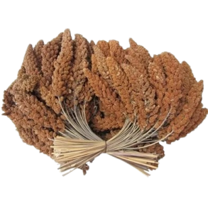 Hirsekolber Rde Franske