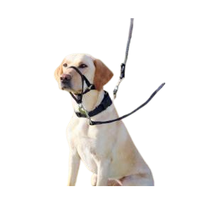 Top Trainer snudesele