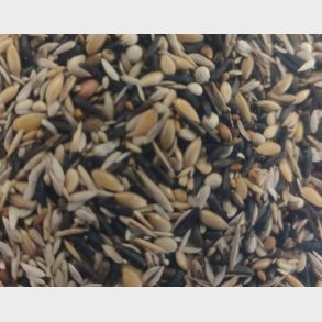 Siskenblanding OBS: SE DATO I BESKRIVELSE