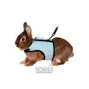 Softsele til dvrgkaniner