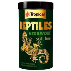 Tropical Reptiles Soft Herbivore