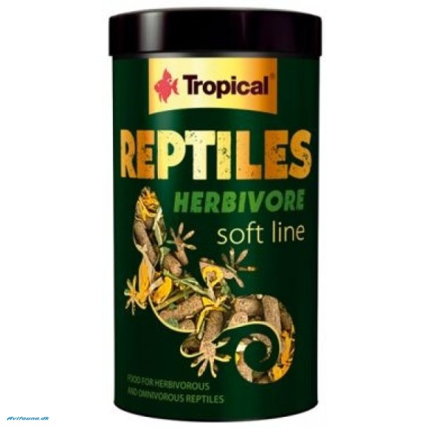 Tropical Reptiles Soft Herbivore